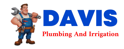 Trusted plumber in LOUGHMAN